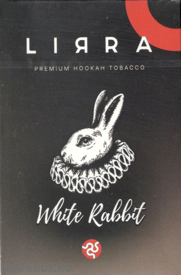 White rabbit перевод